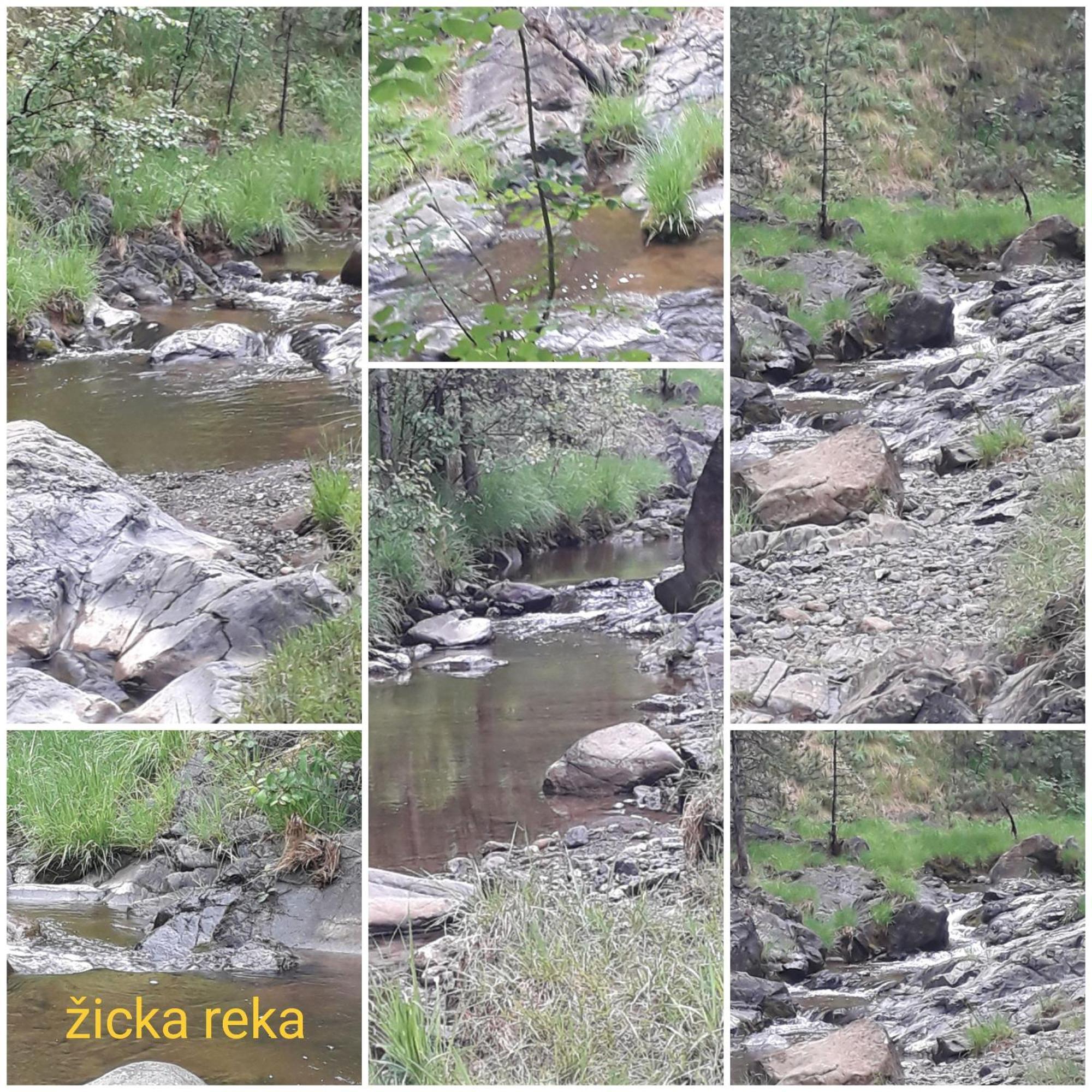 קראלג'בו Kuca Za Odmor Zicanka מראה חיצוני תמונה